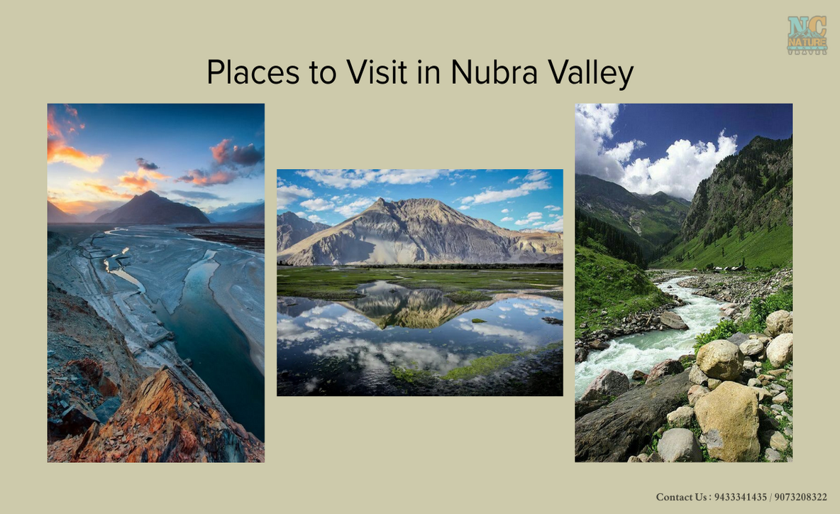 Nubra leh, things to do in Nubra Valley, hotels nubra valley leh, 